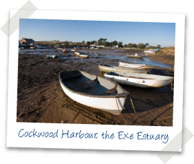 photo of Cockwood Harbour, the Exe Estuary